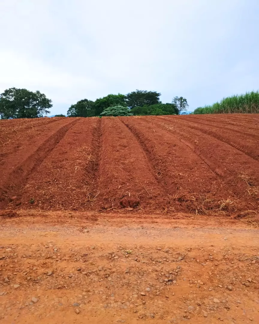 Venda - área de terras